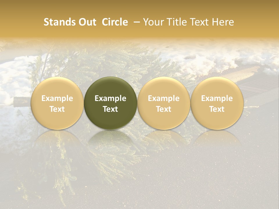 A Small Tree Laying On Top Of A Snow Covered Ground PowerPoint Template