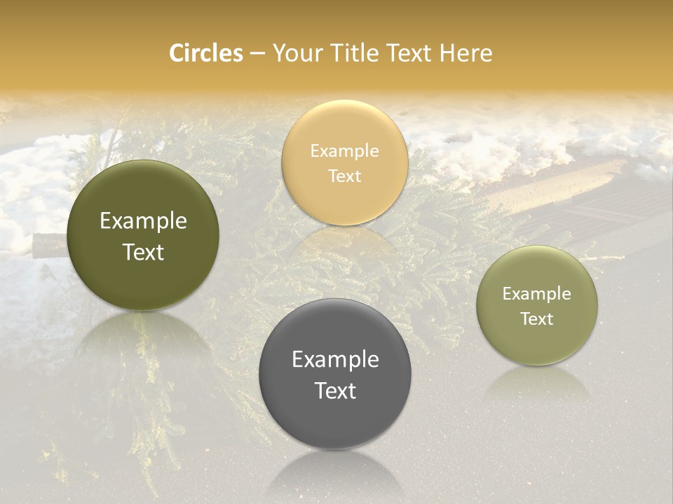 A Small Tree Laying On Top Of A Snow Covered Ground PowerPoint Template