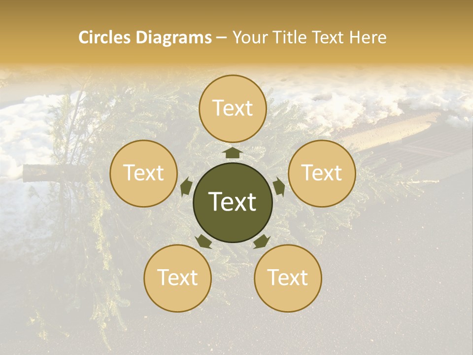 A Small Tree Laying On Top Of A Snow Covered Ground PowerPoint Template