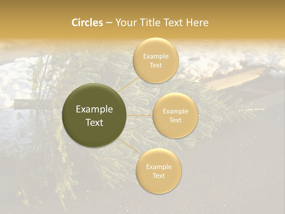 A Small Tree Laying On Top Of A Snow Covered Ground PowerPoint Template