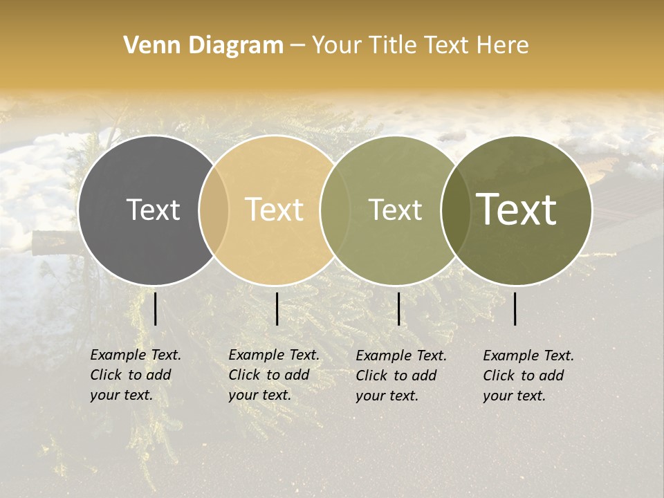 A Small Tree Laying On Top Of A Snow Covered Ground PowerPoint Template
