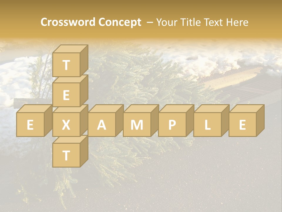 A Small Tree Laying On Top Of A Snow Covered Ground PowerPoint Template