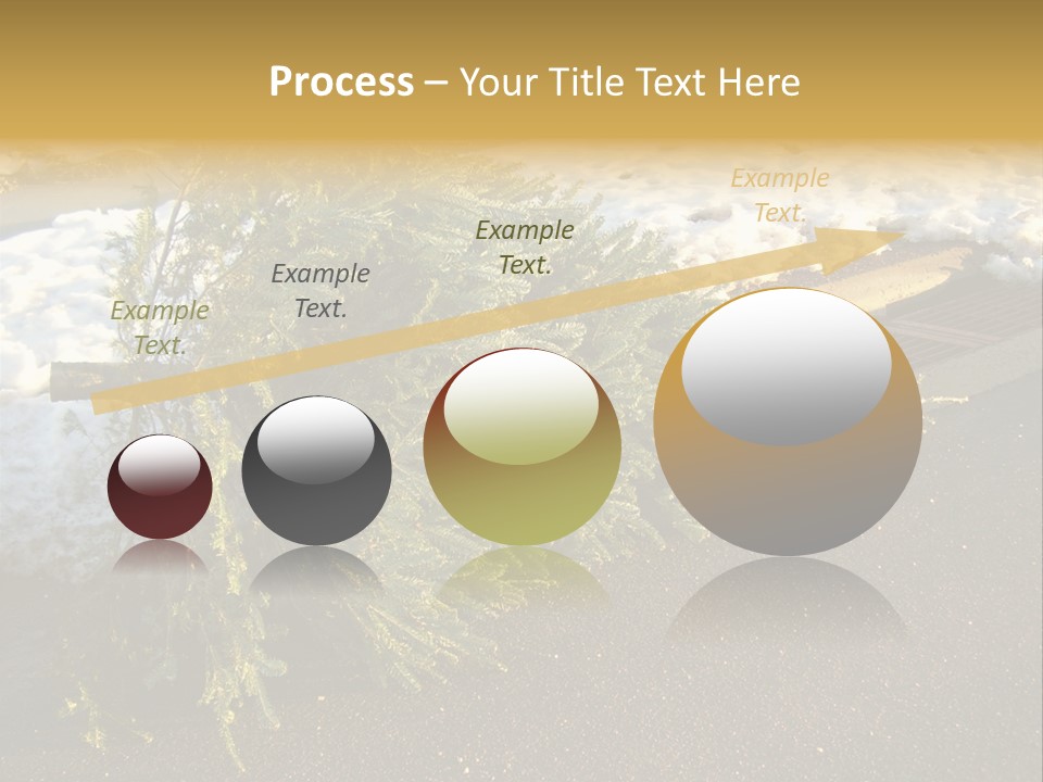 A Small Tree Laying On Top Of A Snow Covered Ground PowerPoint Template