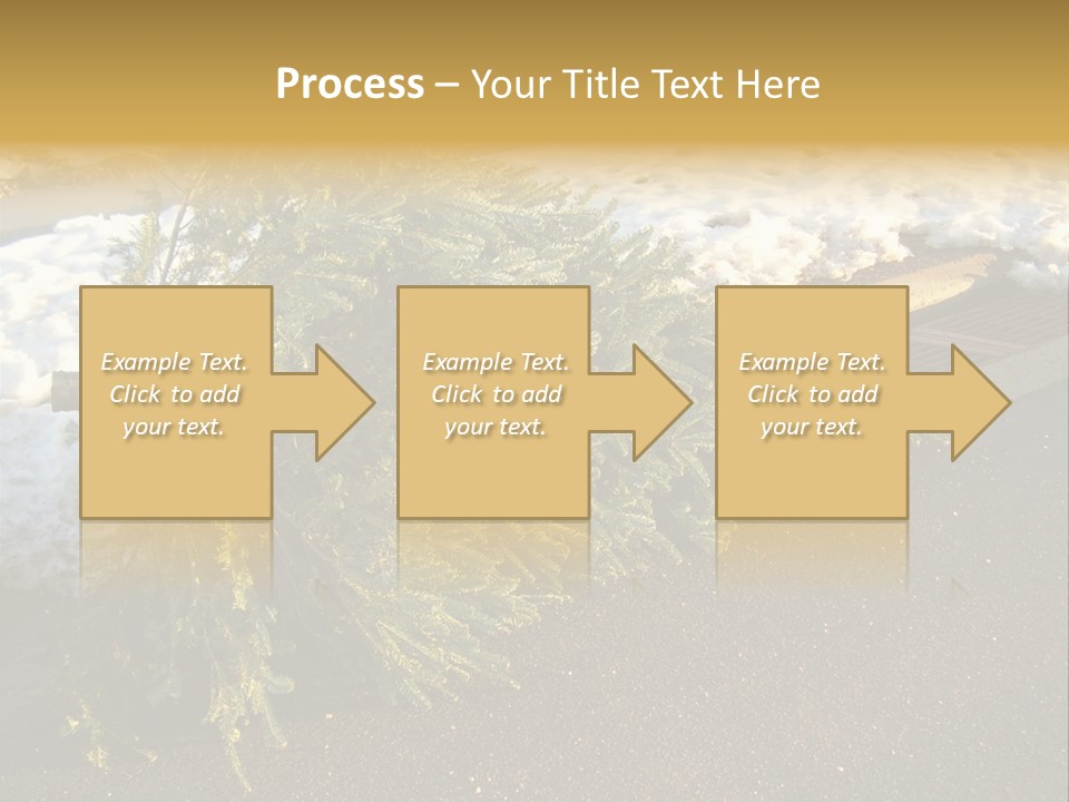 A Small Tree Laying On Top Of A Snow Covered Ground PowerPoint Template