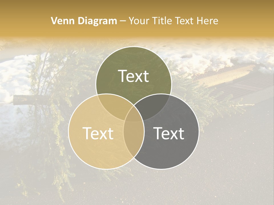A Small Tree Laying On Top Of A Snow Covered Ground PowerPoint Template