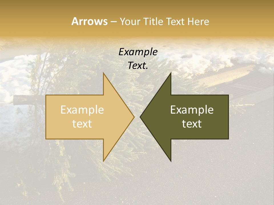 A Small Tree Laying On Top Of A Snow Covered Ground PowerPoint Template