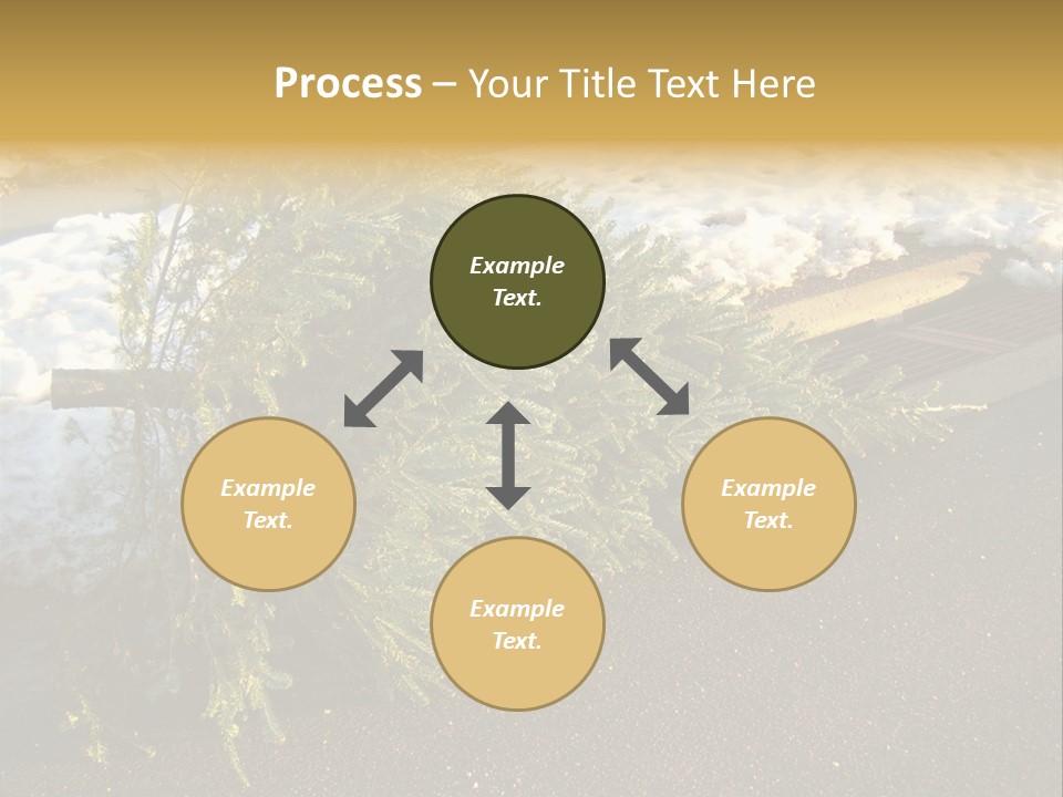 A Small Tree Laying On Top Of A Snow Covered Ground PowerPoint Template