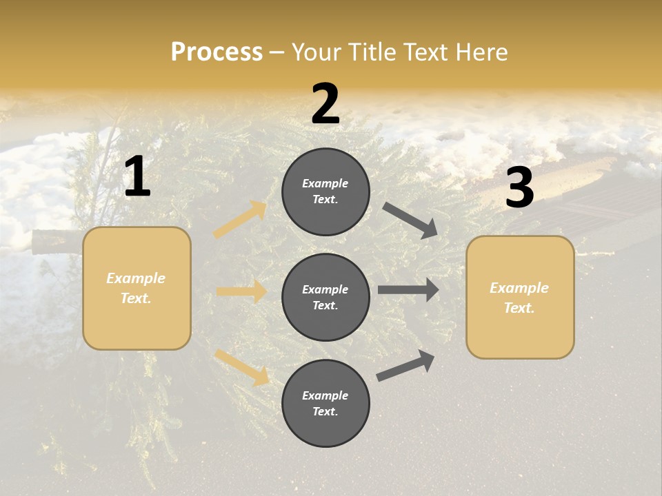 A Small Tree Laying On Top Of A Snow Covered Ground PowerPoint Template