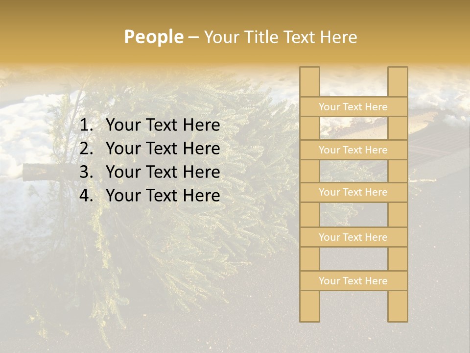 A Small Tree Laying On Top Of A Snow Covered Ground PowerPoint Template
