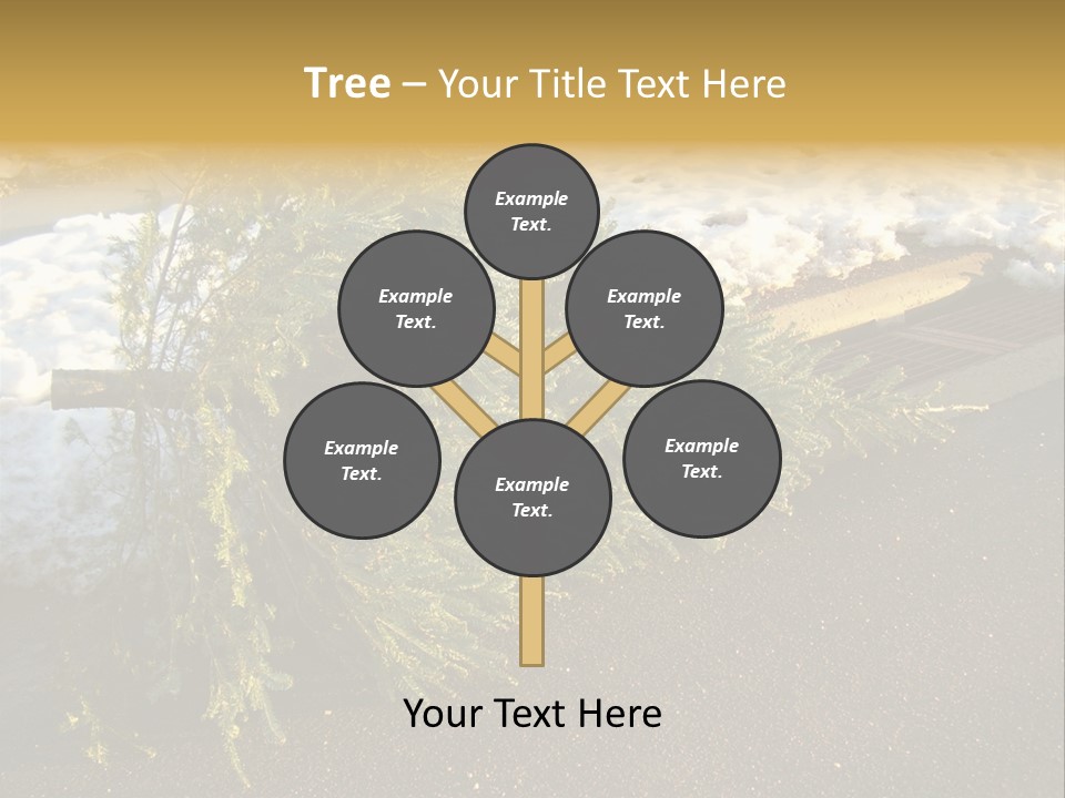A Small Tree Laying On Top Of A Snow Covered Ground PowerPoint Template