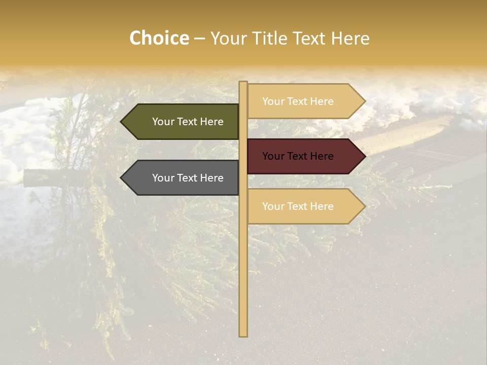 A Small Tree Laying On Top Of A Snow Covered Ground PowerPoint Template