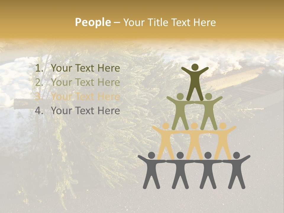 A Small Tree Laying On Top Of A Snow Covered Ground PowerPoint Template