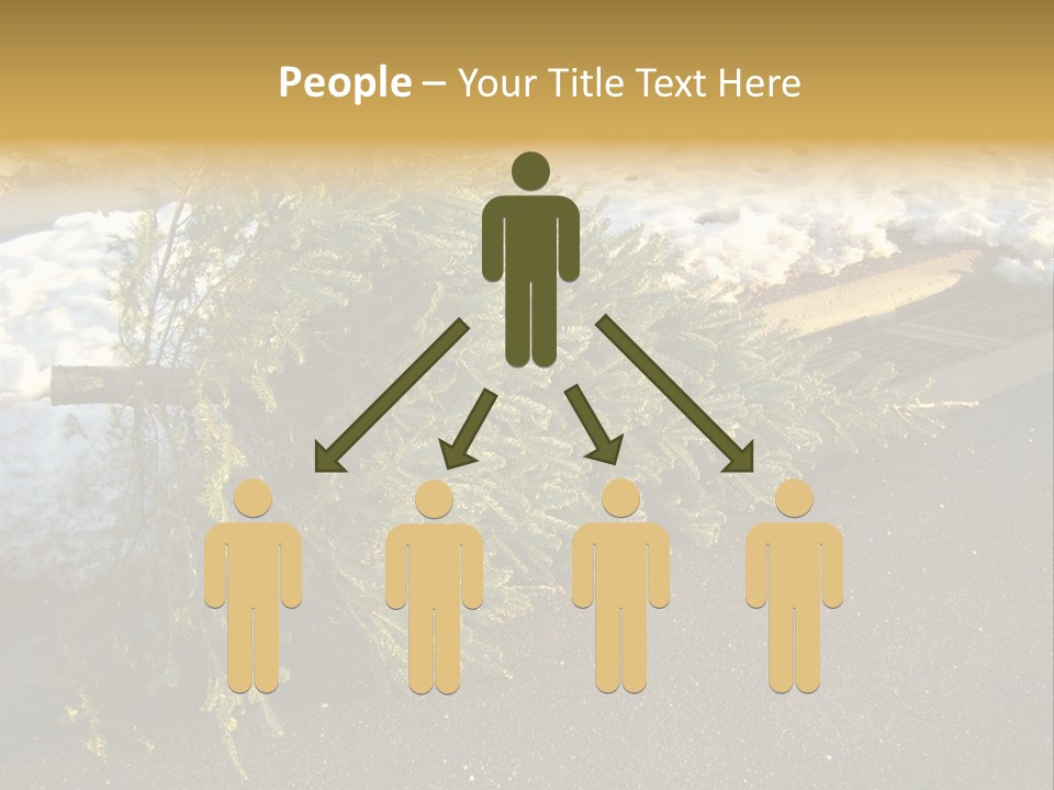 A Small Tree Laying On Top Of A Snow Covered Ground PowerPoint Template