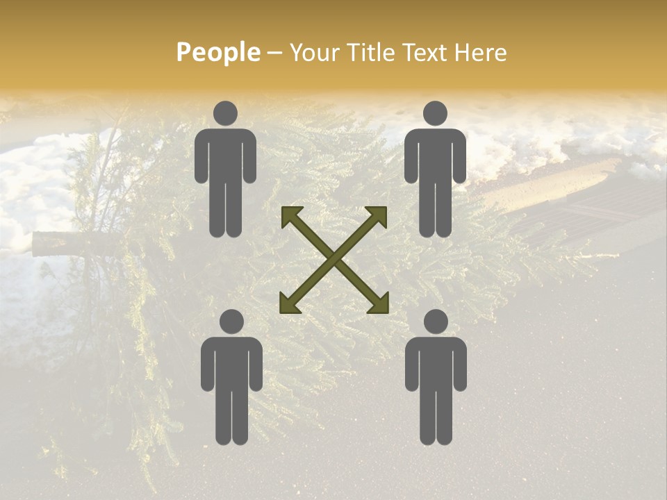 A Small Tree Laying On Top Of A Snow Covered Ground PowerPoint Template