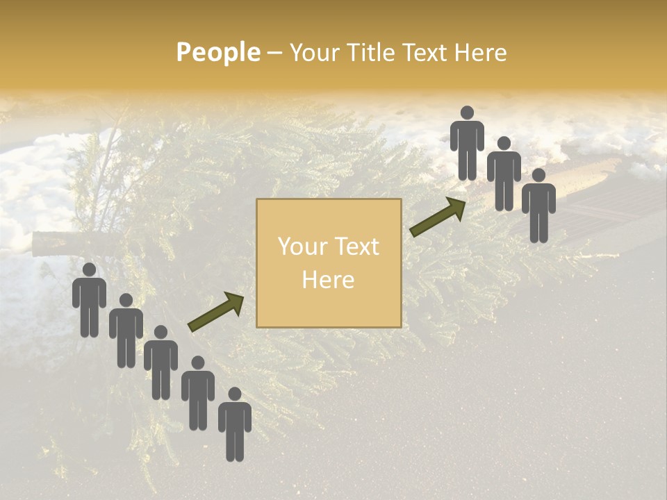 A Small Tree Laying On Top Of A Snow Covered Ground PowerPoint Template