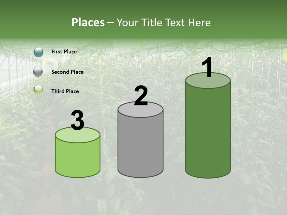 Greenhouse With Tomato Plants PowerPoint Template