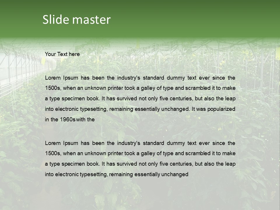 Greenhouse With Tomato Plants PowerPoint Template