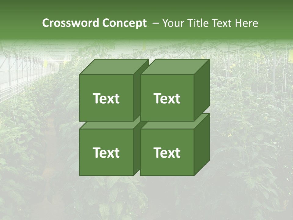 Greenhouse With Tomato Plants PowerPoint Template