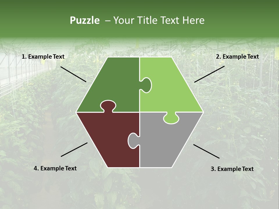 Greenhouse With Tomato Plants PowerPoint Template