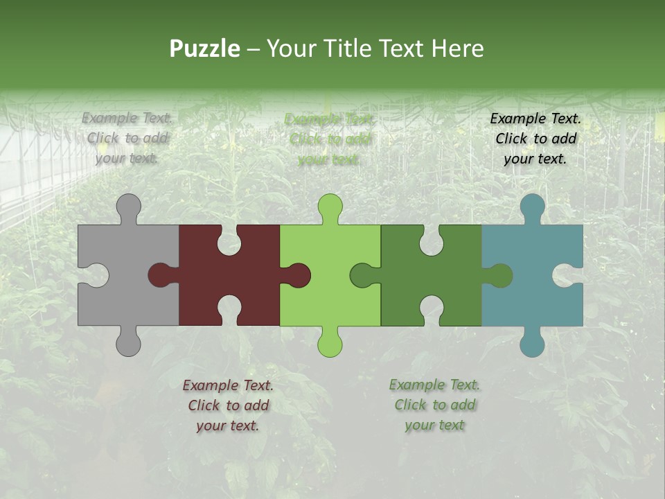 Greenhouse With Tomato Plants PowerPoint Template