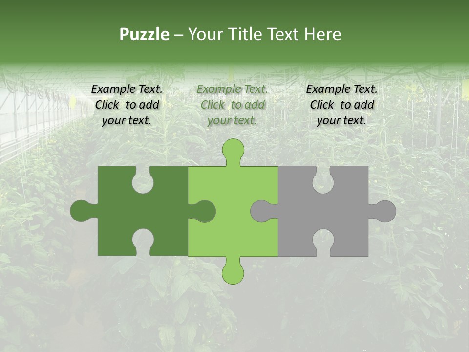 Greenhouse With Tomato Plants PowerPoint Template