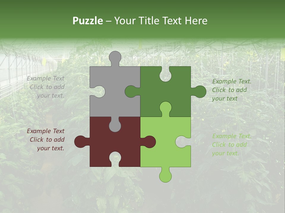 Greenhouse With Tomato Plants PowerPoint Template