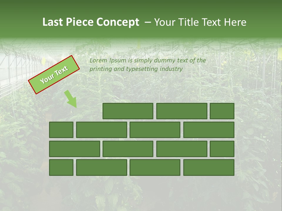 Greenhouse With Tomato Plants PowerPoint Template