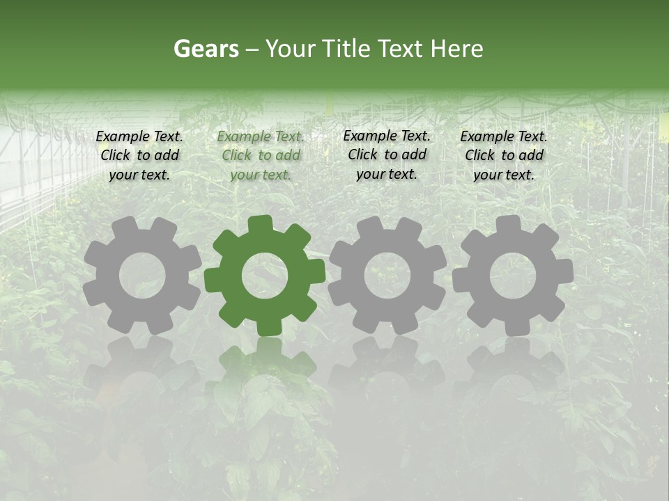 Greenhouse With Tomato Plants PowerPoint Template