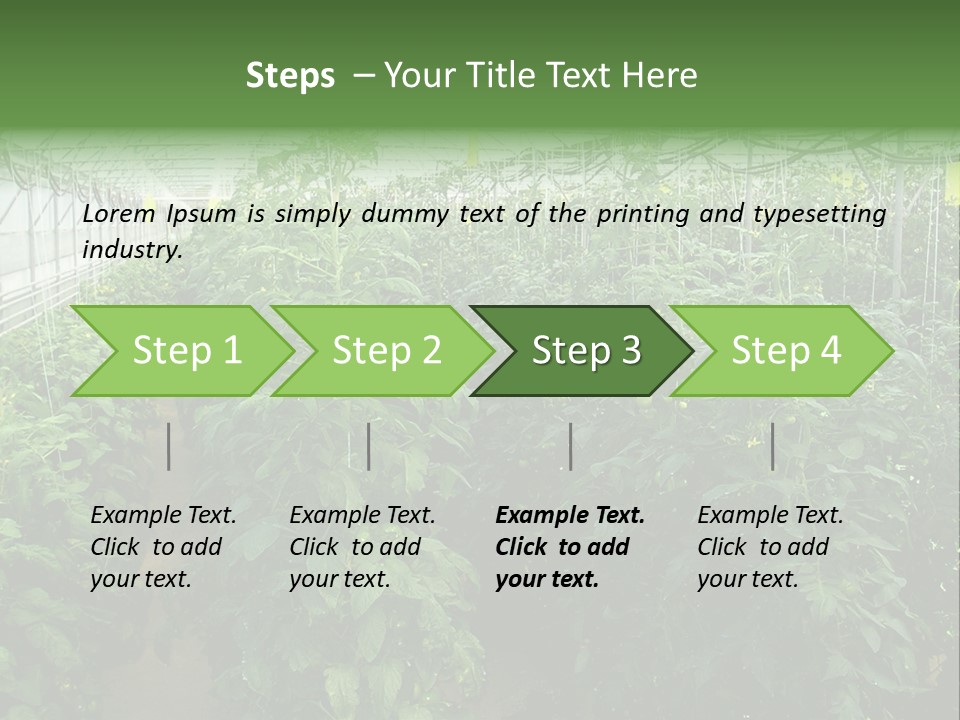 Greenhouse With Tomato Plants PowerPoint Template