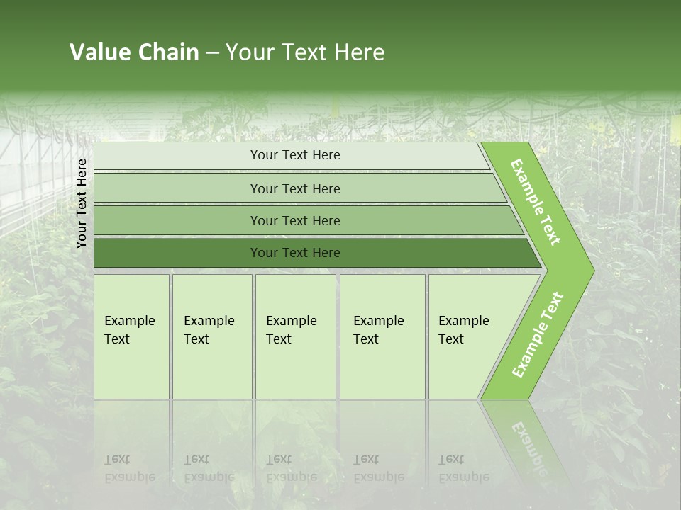 Greenhouse With Tomato Plants PowerPoint Template
