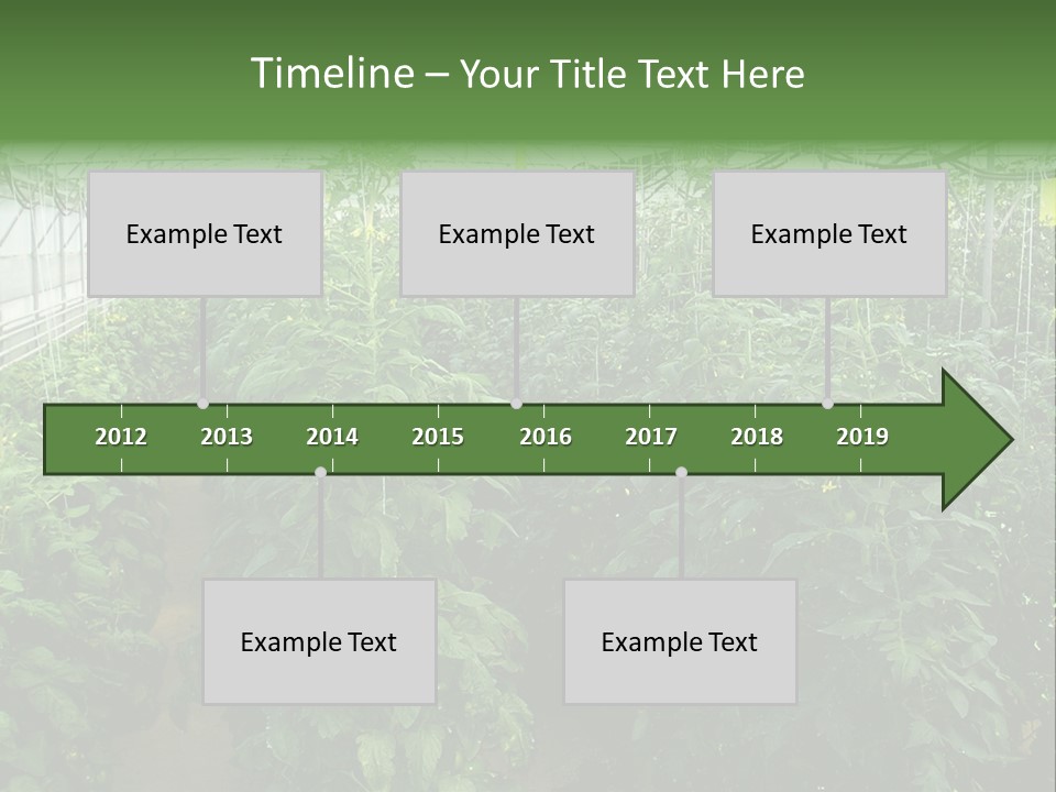 Greenhouse With Tomato Plants PowerPoint Template