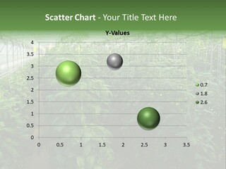 Greenhouse With Tomato Plants PowerPoint Template