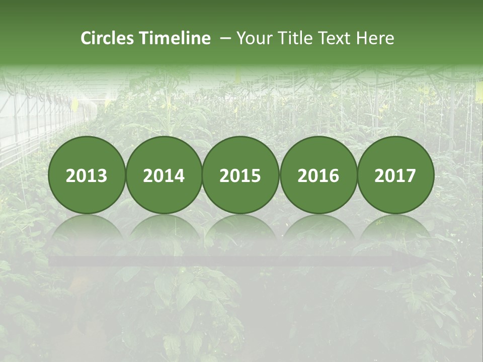 Greenhouse With Tomato Plants PowerPoint Template