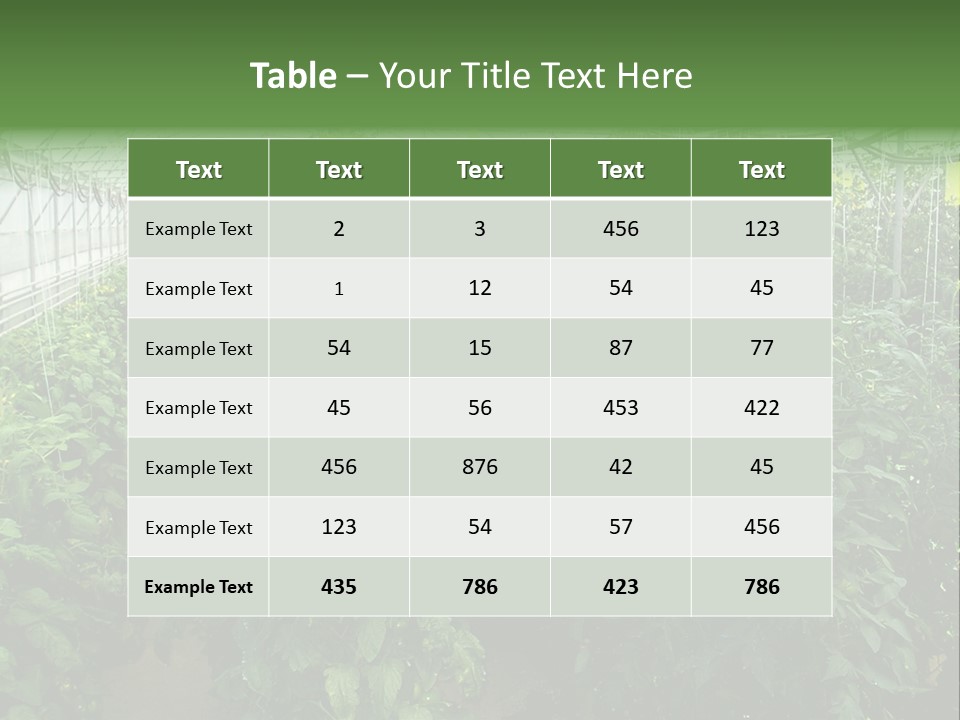 Greenhouse With Tomato Plants PowerPoint Template