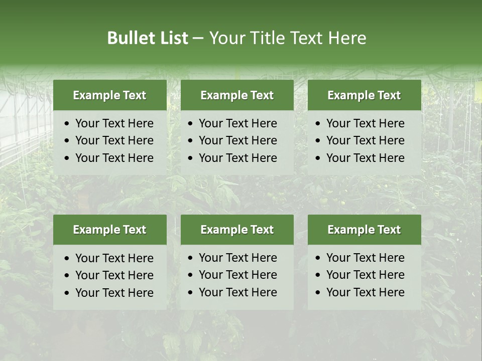 Greenhouse With Tomato Plants PowerPoint Template