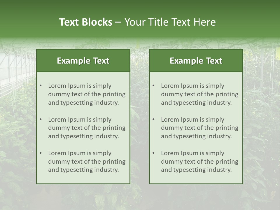 Greenhouse With Tomato Plants PowerPoint Template