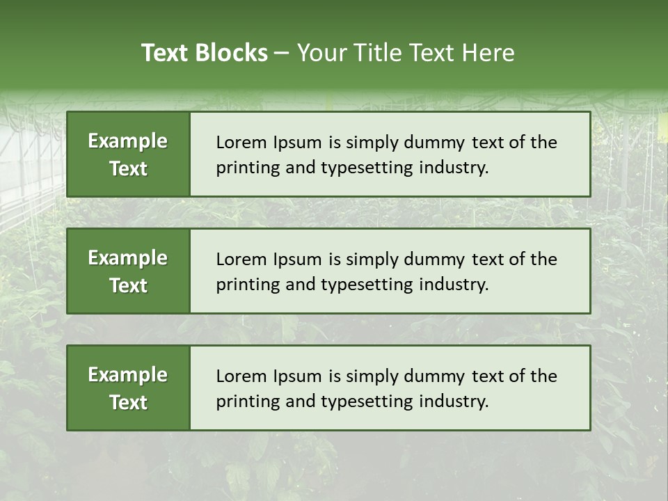 Greenhouse With Tomato Plants PowerPoint Template