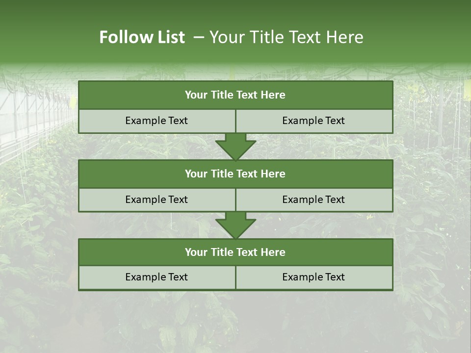 Greenhouse With Tomato Plants PowerPoint Template