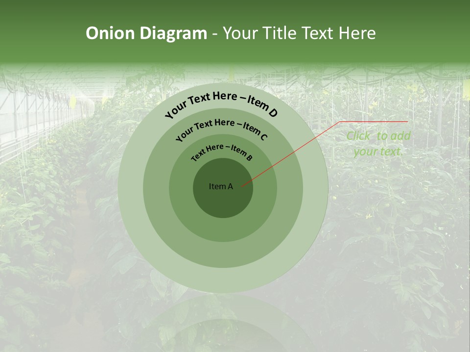 Greenhouse With Tomato Plants PowerPoint Template