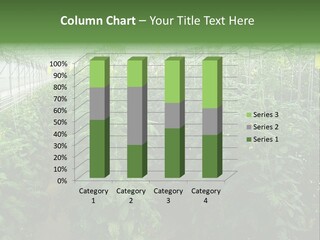 Greenhouse With Tomato Plants PowerPoint Template