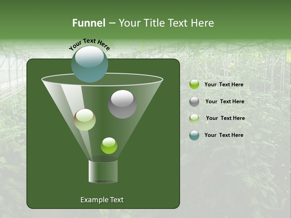 Greenhouse With Tomato Plants PowerPoint Template