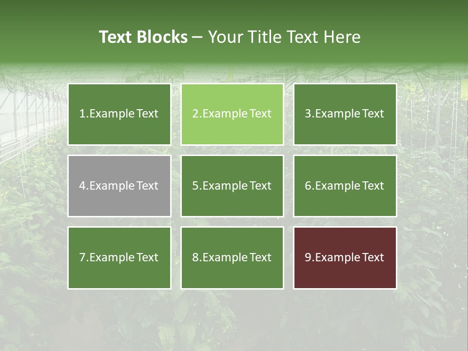 Greenhouse With Tomato Plants PowerPoint Template