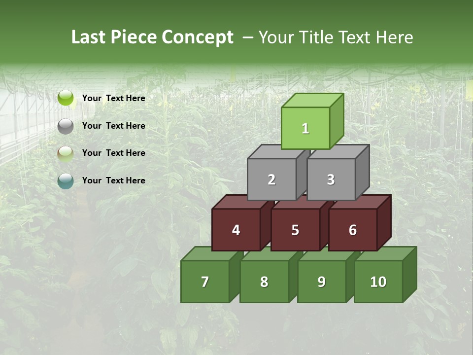 Greenhouse With Tomato Plants PowerPoint Template