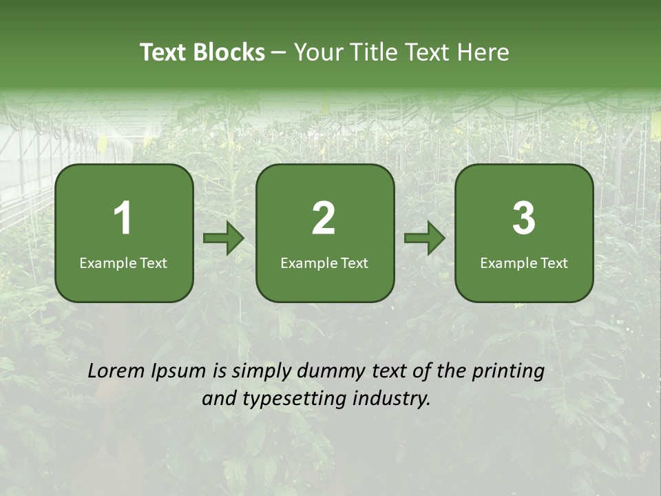 Greenhouse With Tomato Plants PowerPoint Template