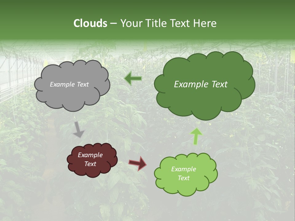 Greenhouse With Tomato Plants PowerPoint Template