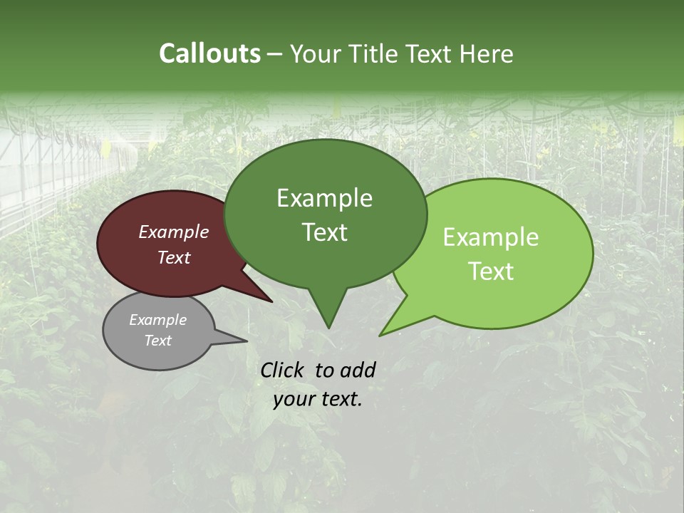 Greenhouse With Tomato Plants PowerPoint Template