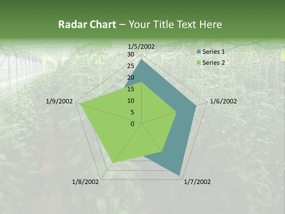 Greenhouse With Tomato Plants PowerPoint Template