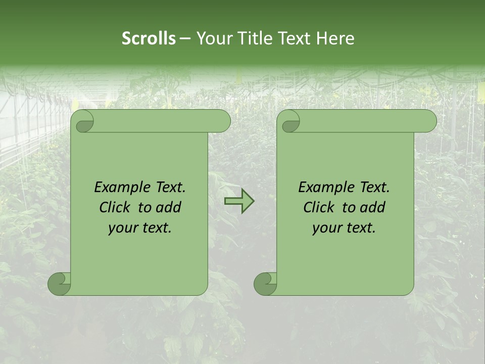 Greenhouse With Tomato Plants PowerPoint Template