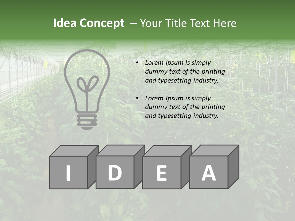 Greenhouse With Tomato Plants PowerPoint Template