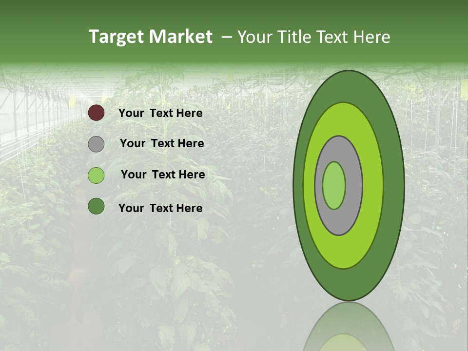 Greenhouse With Tomato Plants PowerPoint Template